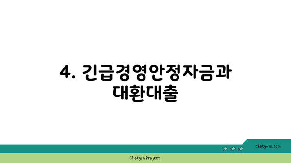 4. 긴급경영안정자금과 대환대출